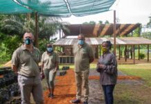 Gabon: Journée mondiale de l’environnement, Lee White sur le terrain