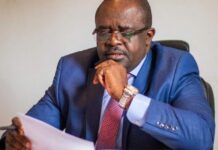 Drame de Mekambo: Dieudonné Minlama invite le president de la République à prendre le leadership pour l’établissement d’une coopération internationale environnementale gagnant-gagnabt!