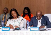 BM Partners/Journée de réflexion sur l’Union Africaine à Kinshasa : Le député Estelle Ondo a pris part aux travaux