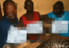 LAMBARENE : Trois présumés trafiquants de faune interpellés à Lambaréné avec près de 100 kg d’ivoire dérobés au Tribunal de Lambaréné