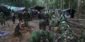 Bakoumba/ANPN : Démentellement d’un réseau de trafiquants illégaux d’or