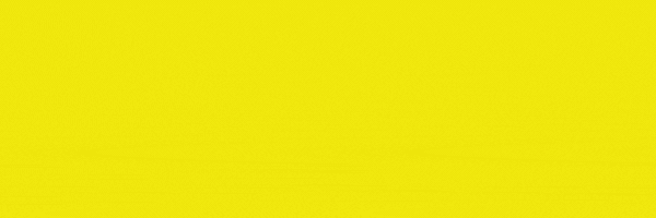 Google search engine