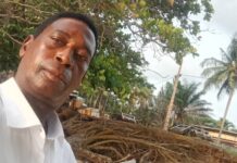 IMMUNITÉ PARLEMENTAIRE AU GABON : QUAND LA PROCLAMATION NE SUFFIT PAS À FAIRE MANDAT