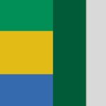 LA DIASPORA GABONAISE AU NIGERIA : UN APPEL FORT POUR PARTICIPER À LA CONSTRUCTION DE LA CINQUIÈME RÉPUBLIQUE