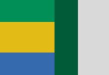 LA DIASPORA GABONAISE AU NIGERIA : UN APPEL FORT POUR PARTICIPER À LA CONSTRUCTION DE LA CINQUIÈME RÉPUBLIQUE