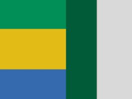 LA DIASPORA GABONAISE AU NIGERIA : UN APPEL FORT POUR PARTICIPER À LA CONSTRUCTION DE LA CINQUIÈME RÉPUBLIQUE