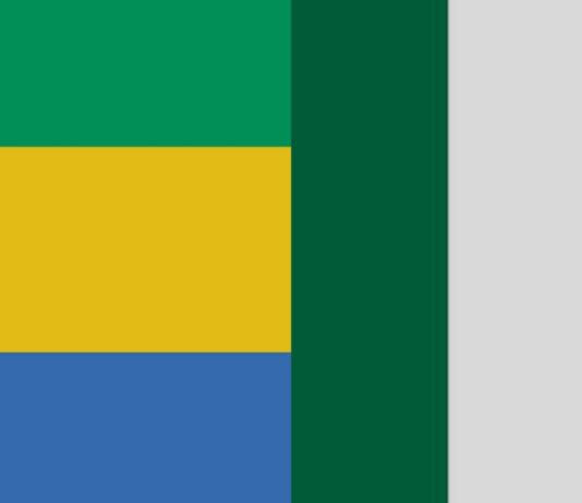 LA DIASPORA GABONAISE AU NIGERIA : UN APPEL FORT POUR PARTICIPER À LA CONSTRUCTION DE LA CINQUIÈME RÉPUBLIQUE