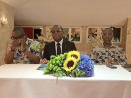 À PARIS, L’UDB MOBILISE SA DIASPORA ET APPELLE À L’UNITÉ DERRIÈRE LA VISION D’OLIGUI NGUEMA