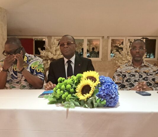 À PARIS, L’UDB MOBILISE SA DIASPORA ET APPELLE À L’UNITÉ DERRIÈRE LA VISION D’OLIGUI NGUEMA