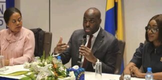 Gabon : l’intelligence artificielle à l’épreuve de la mise en œuvre